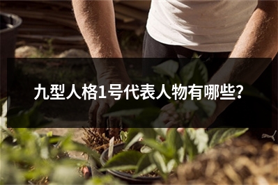 九型人格1号代表人物有哪些？