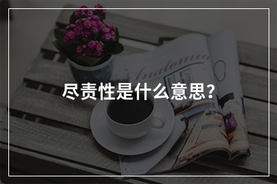 尽责性是什么意思？